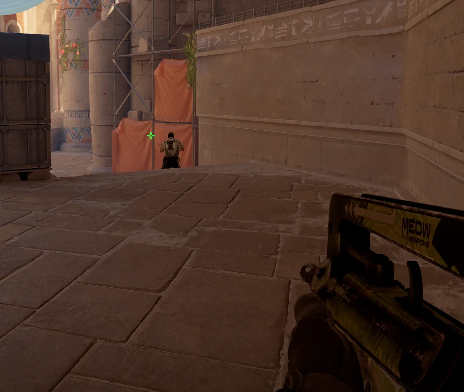 Orange on Anubis