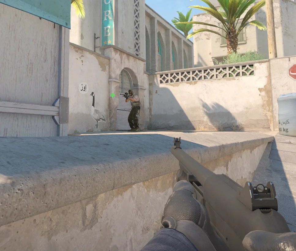 Goose on Dust II